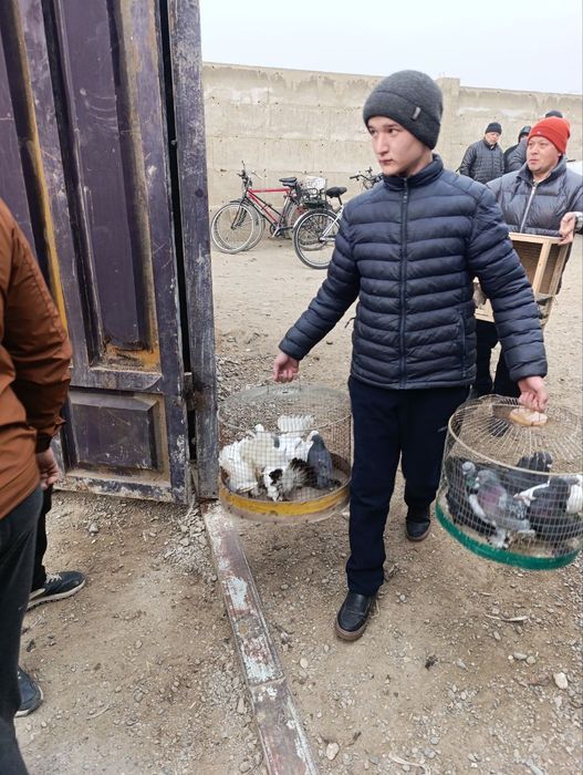 Bozor xar chorshanba va shanba kunlari