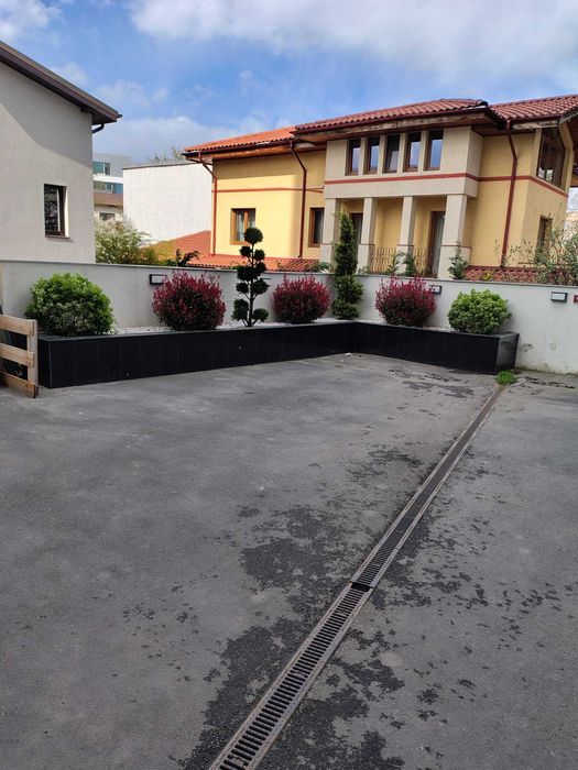 Plante Aclimatizate cu Transport și Plantare Inclusă