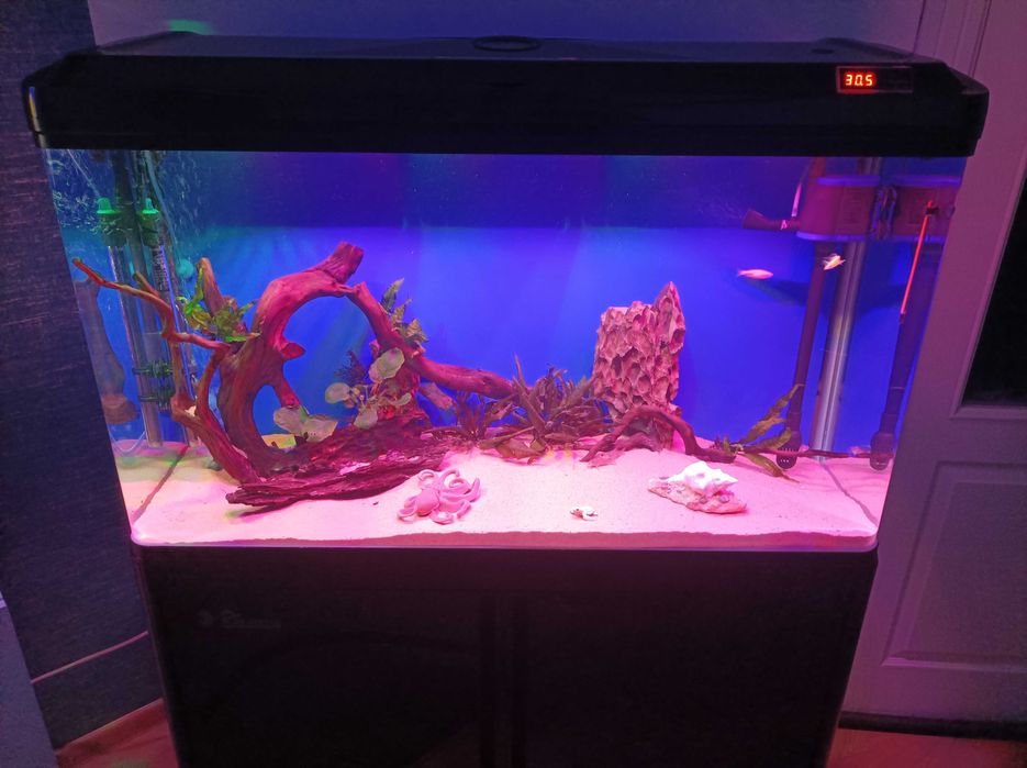 Продавам аквариум с шкаф