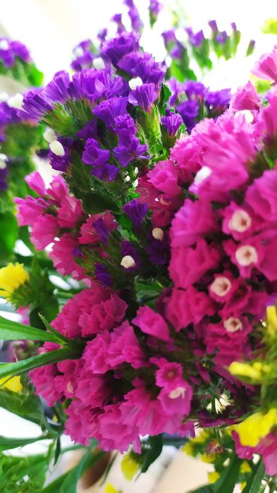 Стабилизированные букеты