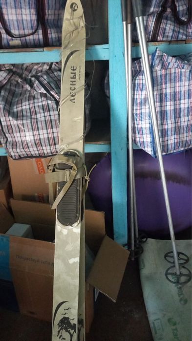 Продам охотничьи лыжи