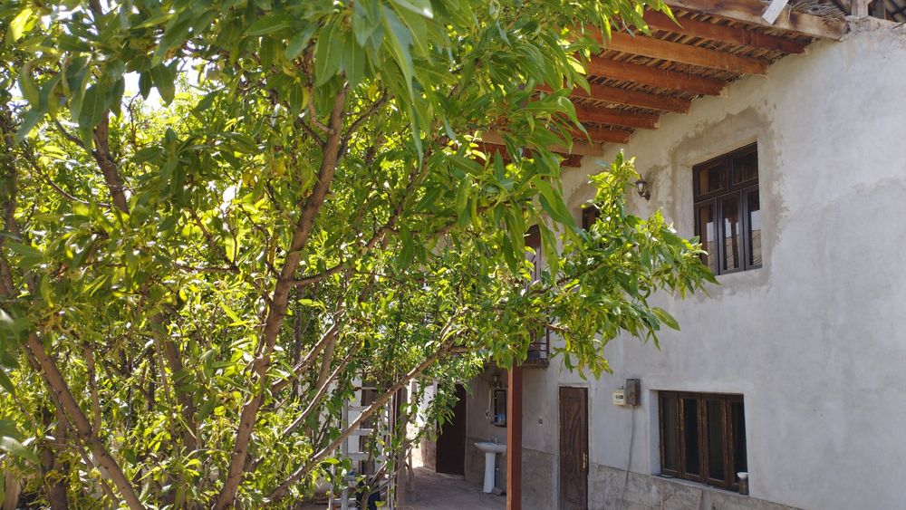 Sirdaryo Shaxar uy sotladi