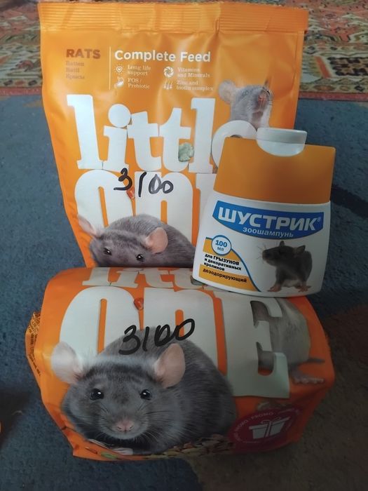 Корм и шампунь для Крыс