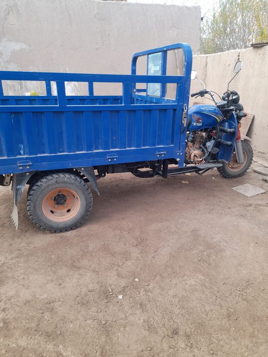 Locin mato garantiya