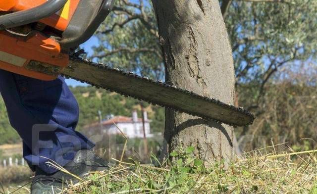 Спил деревьев, обрезка