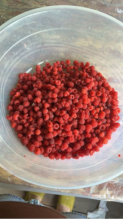 Продам дачу ДС «Ракета»