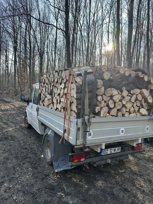 Lemne de foc uscate sau verzi