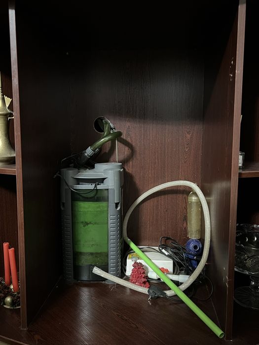 Аквариум высотой с ростом человека