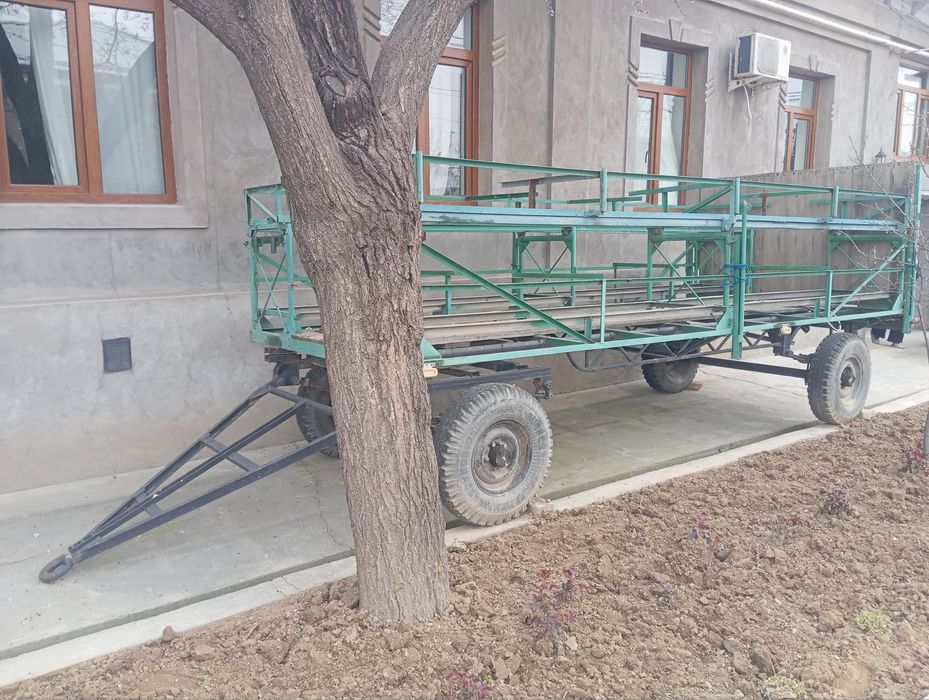 Сотилади асал ари притсепи