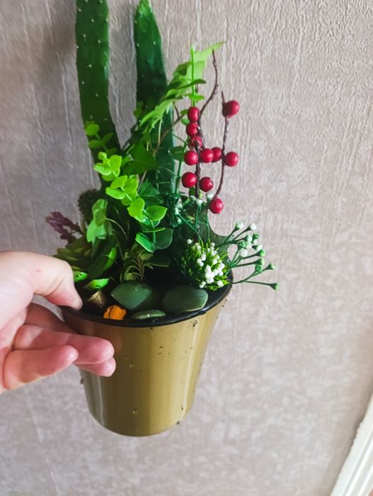 Продам флорариумы с кактусами сансевьерами