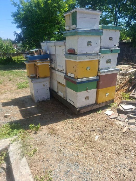 Inventar apicol format din lazi cu cat 3/4