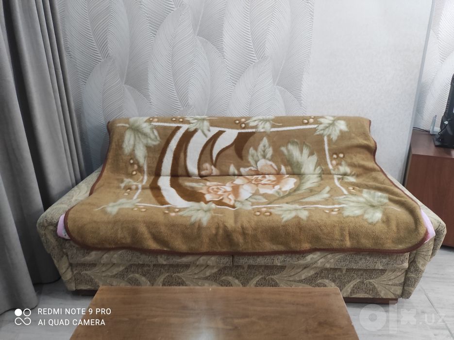 Диван раскладной для зала