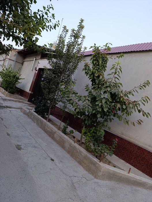 Хавли в хишраве.