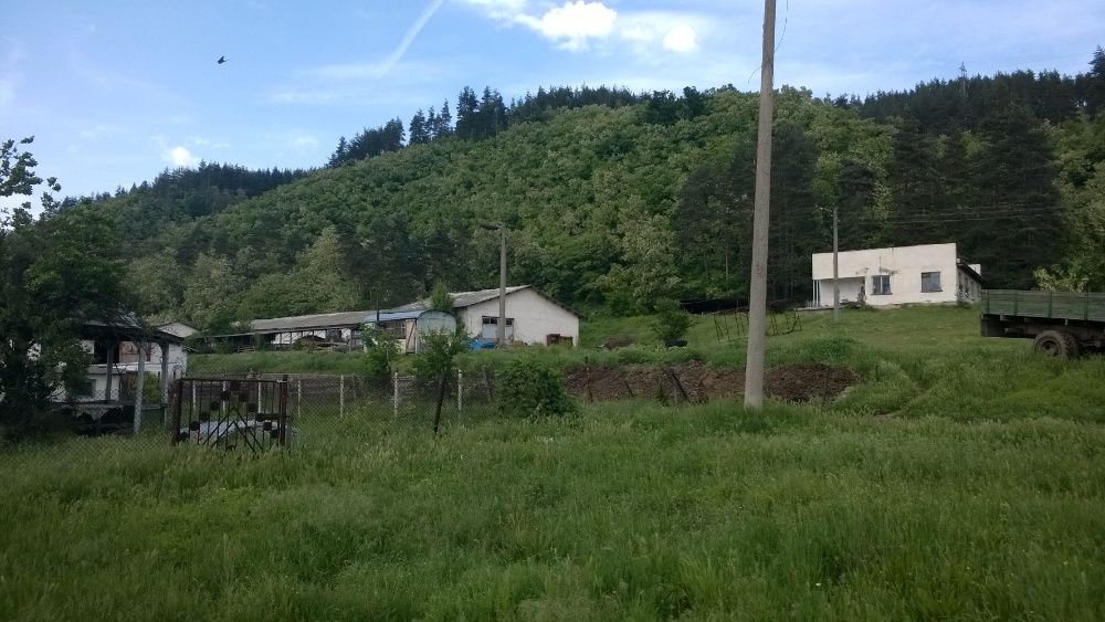 Продава се Парцел в Костенец - 14650 кв.м за 14 €/кв.м - Снимка #6