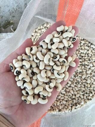Сельхозпродукция сушеная, замороженная, сублимированная, пастообразная