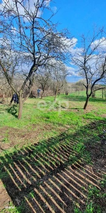Casa la tara de vanzare – Buzoesti, Arges | Ideala pentru locuit sau