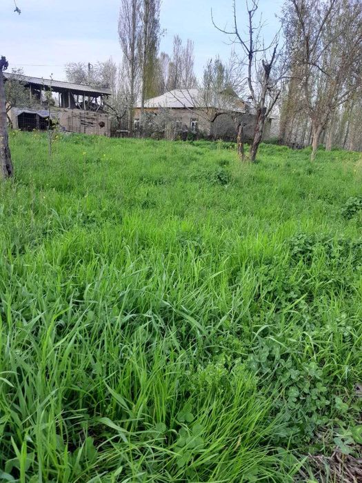 Yer sotiladi srochna