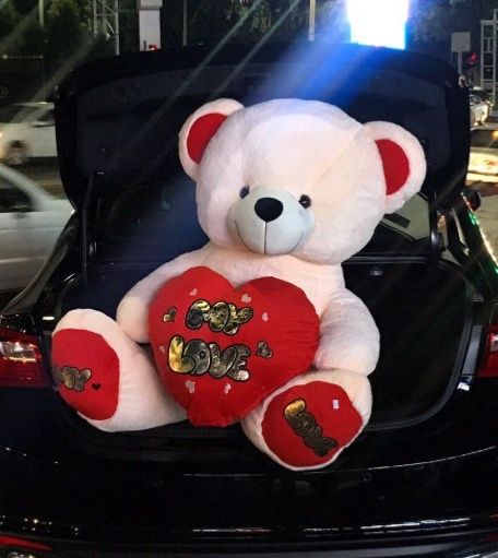 Teddi+ Teddy Panda va Boshqa Yumshoq O'yinchoqlar