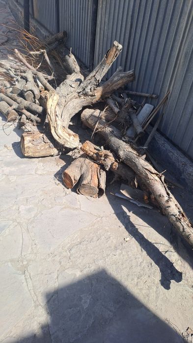 Продам дров для бани и на шашлык