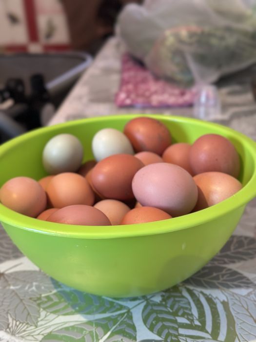 Домашние яйца  в продаже