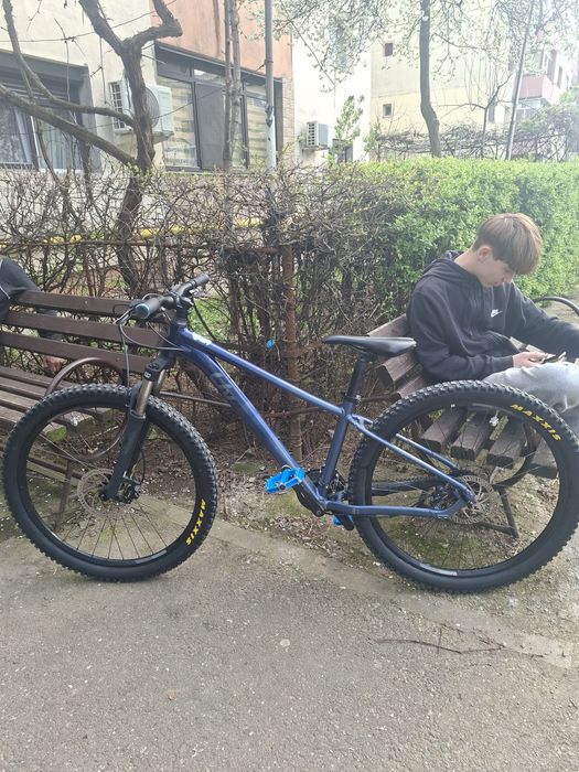 Bicicleta giant liv