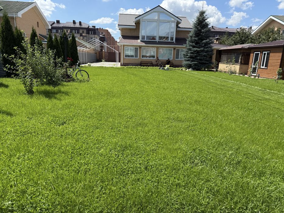 Газон в рулонах Озеленение