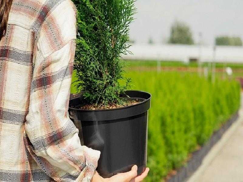 Пластмасови саксии за цветя, билки, рози, малини, боровинки и др.