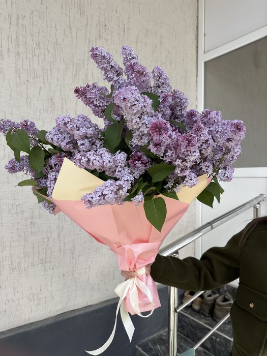 сирень сирень цветы цветы