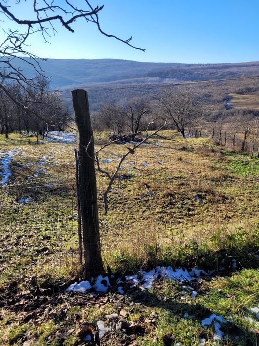 Gradina în satul Bojila cu casa de bătrâni veche