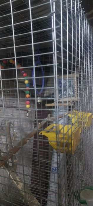 Клетка для Попугая