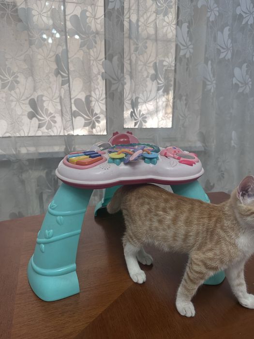 Десткие игрушки распродажа