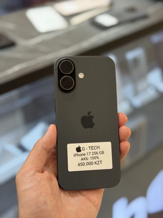 iPhone 17 / 256 / 100%