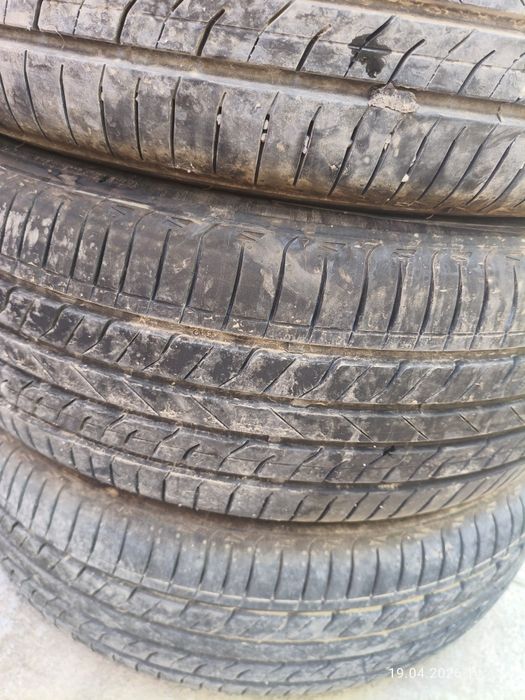 Шины  225/55/19R