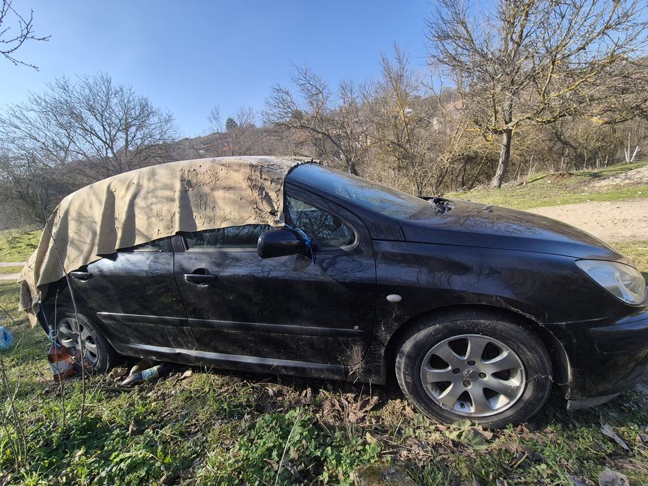 Peugeot 307, 2002 година