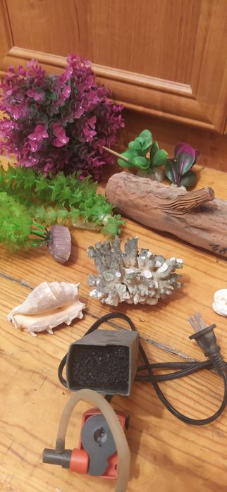 Для аквариума аксессуары.