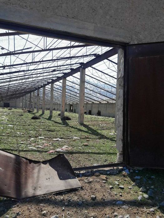 Продаю ферму / Ferma sotiladi