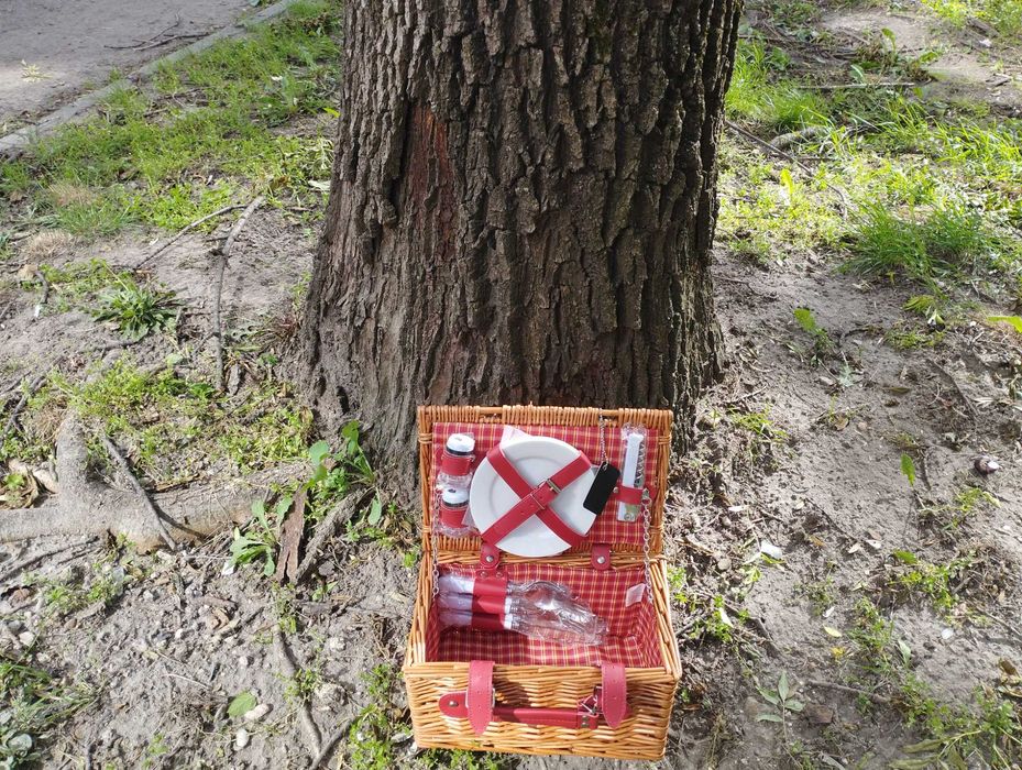 Кошница за пикник