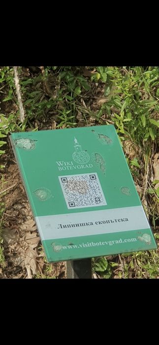 Продава се Къща в София, Лозенец - 150 кв.м за 334 €/кв.м - Снимка #5