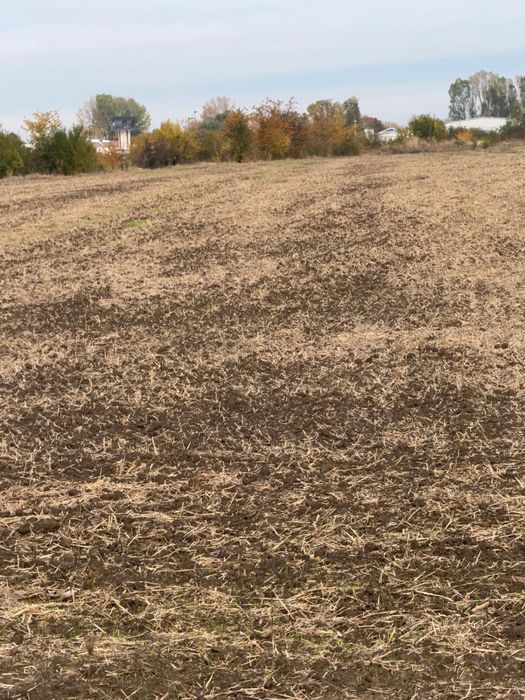 Loturi in rate Com. Cornetu-Jud. Ilfov