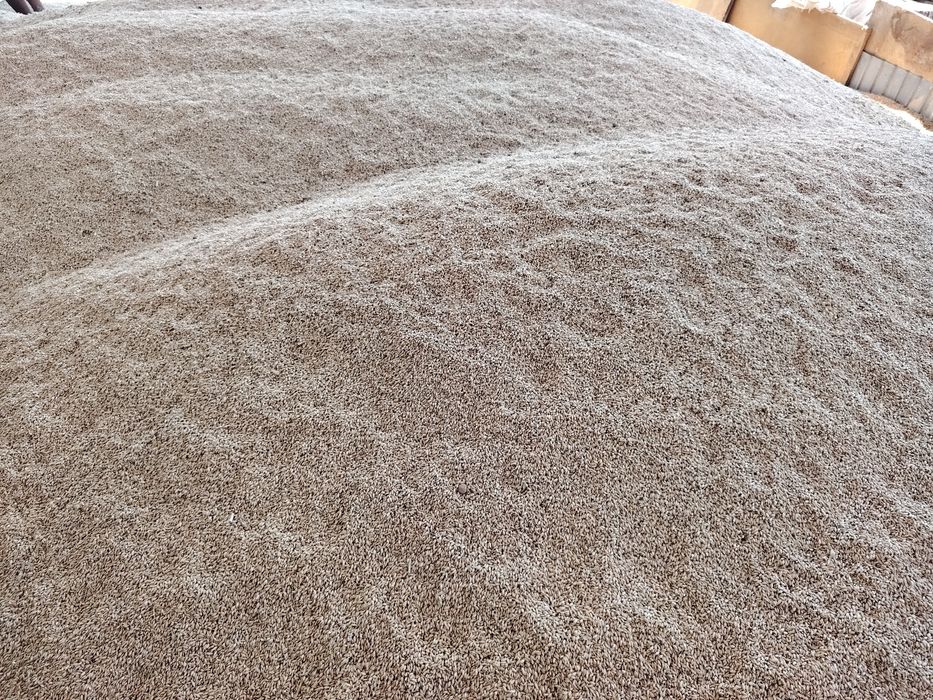 Vând triticale grâu furajer