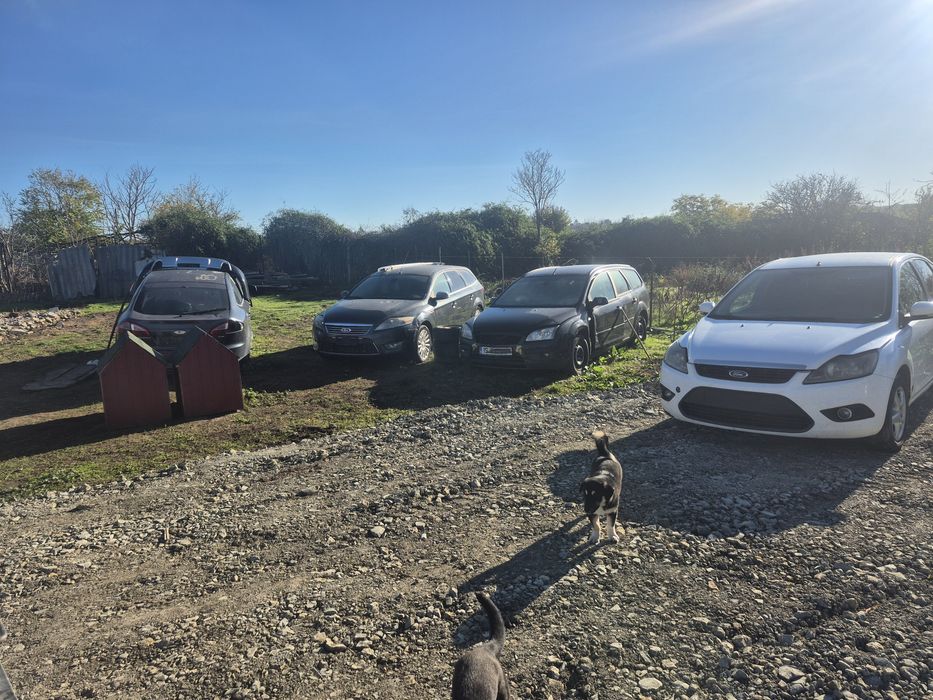 Dezmembrez ford focus,mondeo,kuga