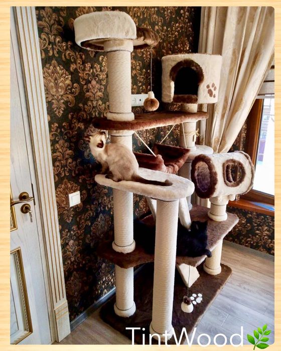 Домик когте-точка для кошки.