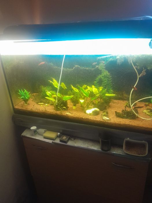 Acvariu mare cu filtru