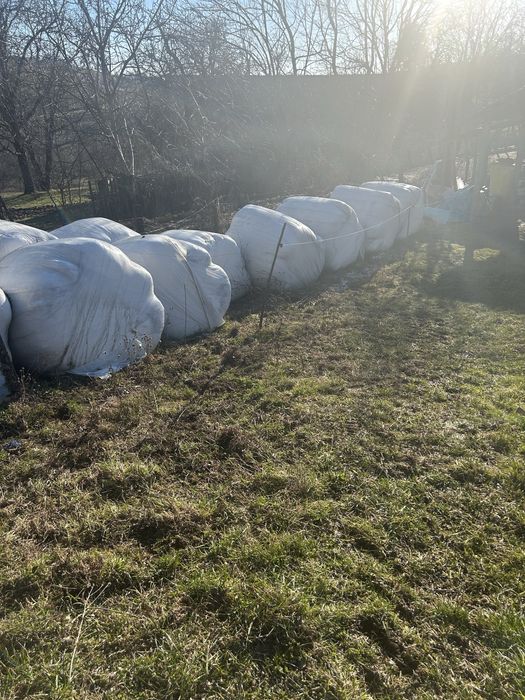 Vand 10 baloți infoliați