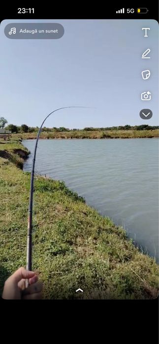 Vand lanseta byy dome royal method