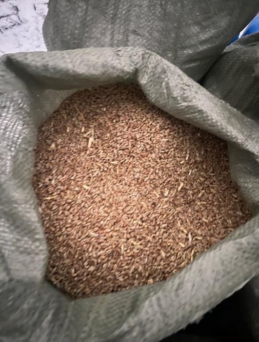 Продам зерно,зерноотходы