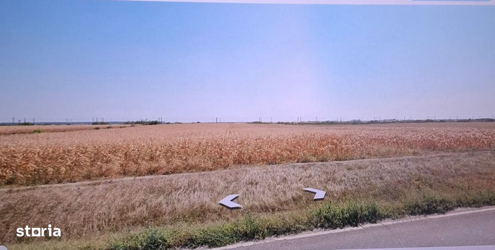 teren extravilan , 7000mp. ,aproape de autostrada