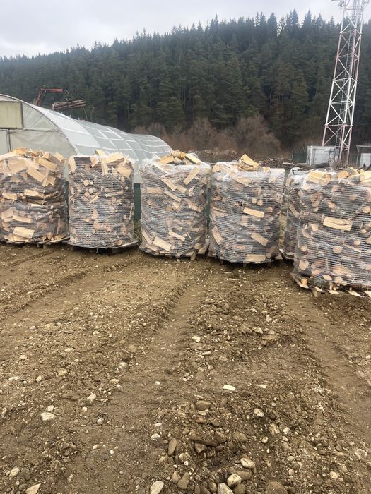 Lemn foc fag 500lei paletul