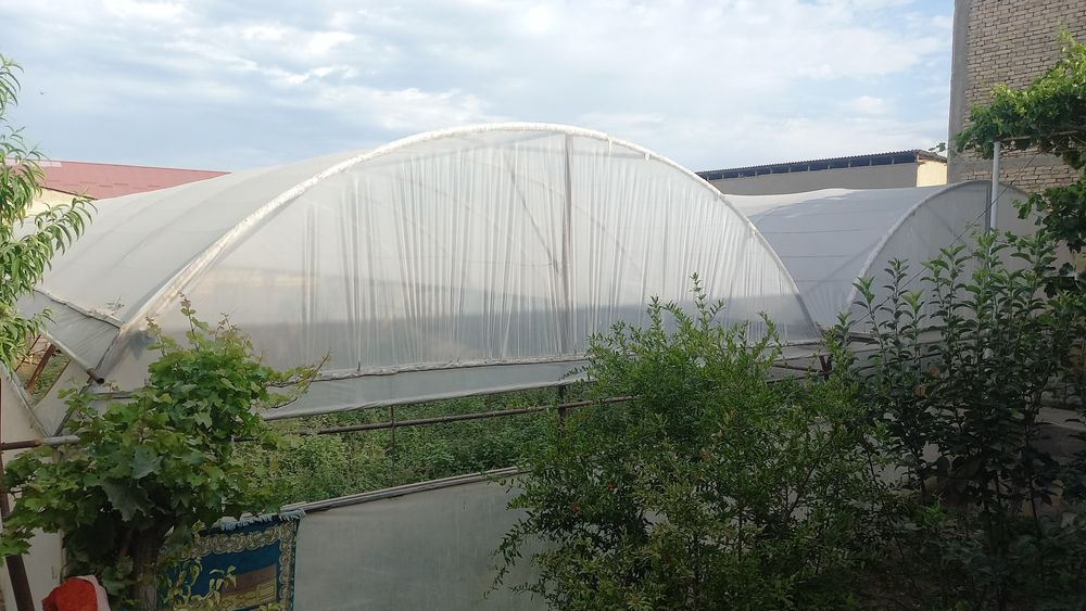 Парник сотилади келиштириб берилади