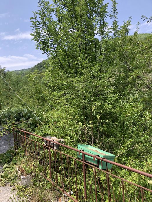 Къща в село Свидня